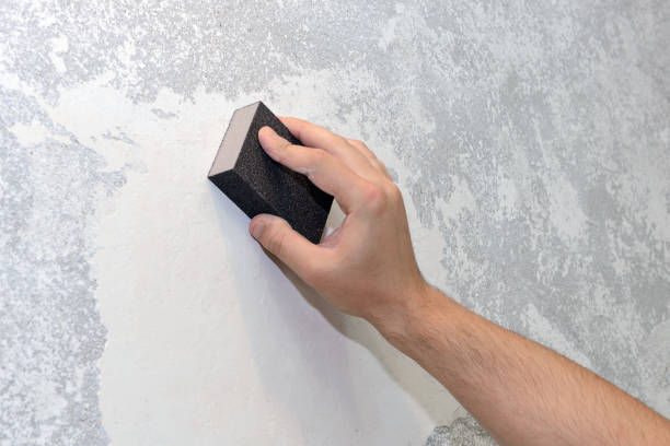 Best Forensic Mold Investigation  in Fairfax, SC