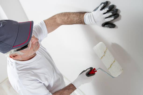 Best Attic Mold Removal  in Fairfax, SC