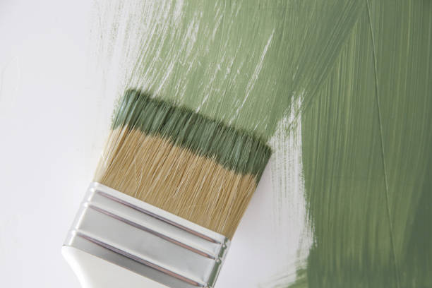 Professional Mold Removal in Fairfax, SC