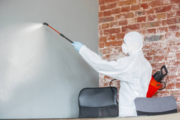 Best Mold-Related Health Consultation  in Fairfax, SC