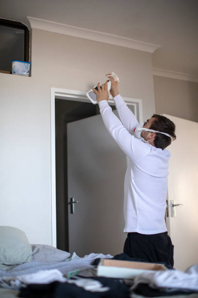 Best Environmental Consulting for Mold Prevention  in Fairfax, SC