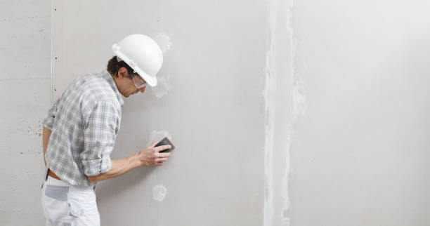 Best Air Quality Testing for Mold Spores  in Fairfax, SC