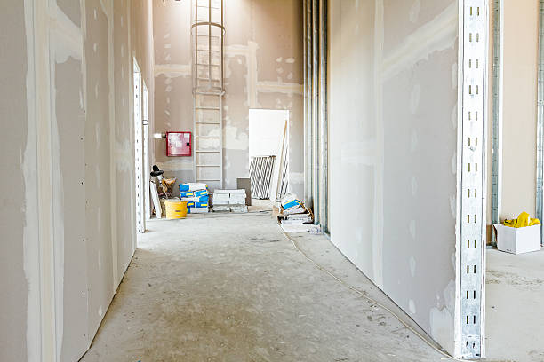Best Biohazard Mold Removal  in Fairfax, SC